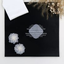 Fimo Effect Áttetsző Fehér 57gr