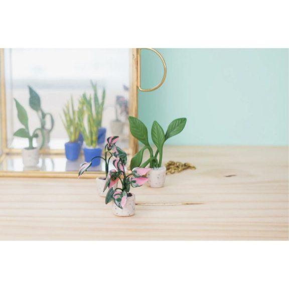 Cernit DIY miniatűr növény készítő szett süthető gyurmával